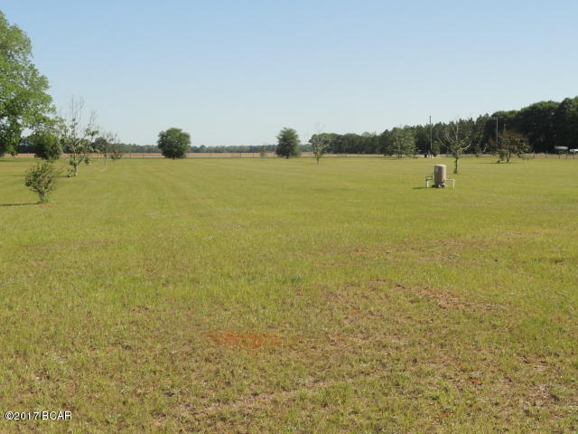 17309 Northeast Mount Olive Cemt Road Altha, FL 32421 - Photo 17 of 27 Gallery Image 17