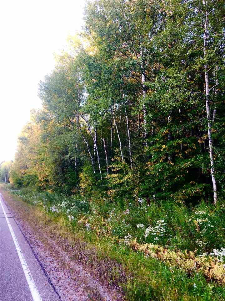 Lot #2 County Road Mosinee, WI 54455 - Photo 1 of 1