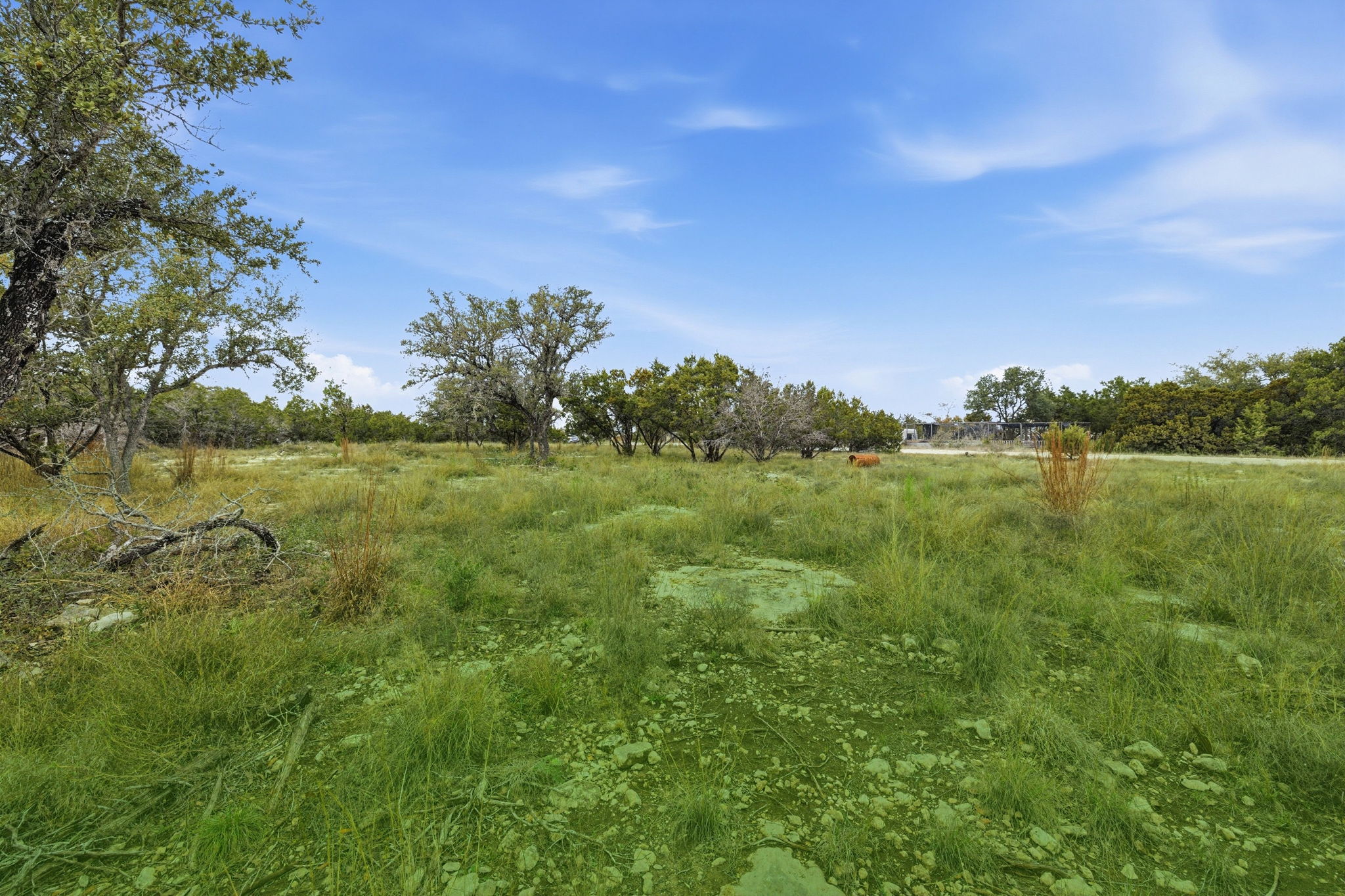 740 Hillcrest Trail Spring Branch, TX 78070 - Photo 13 of 30 View of undeveloped land featuring rural landscape