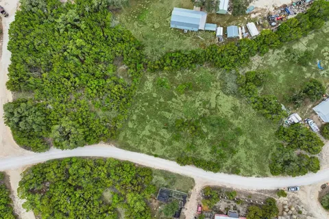 a view of a yard with plants