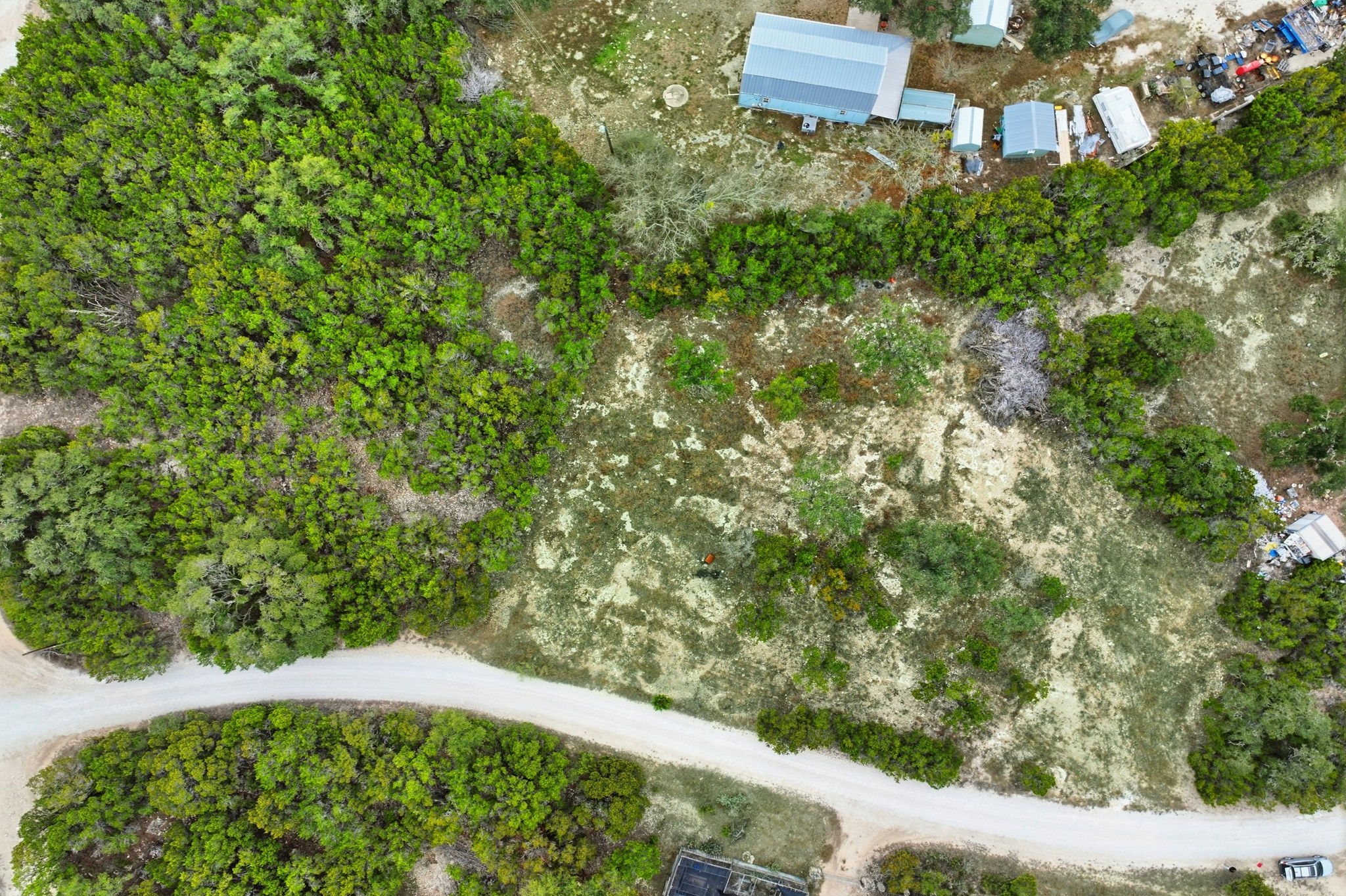 740 Hillcrest Trail Spring Branch, TX 78070 - Photo 24 of 27 a view of a yard with plants