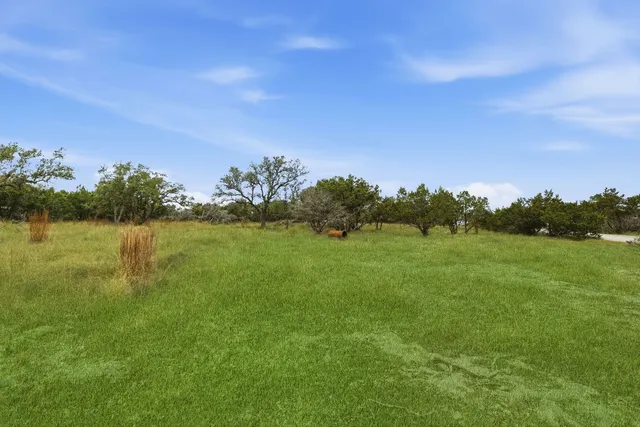 a view of a lake from a yard