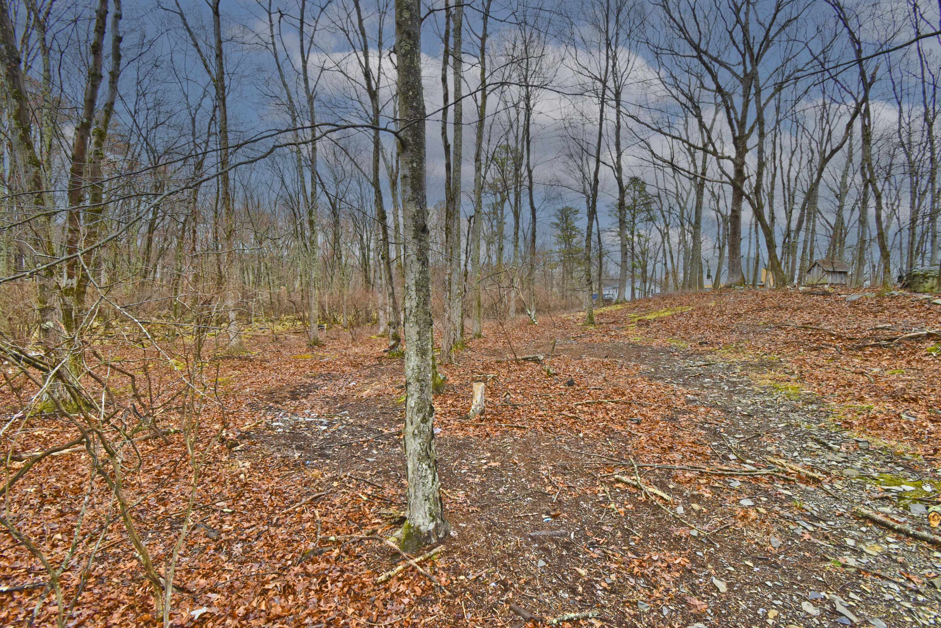 1152 Lancaster Drive Bushkill, PA 18324 - Photo 19 of 37 11 Back (1)