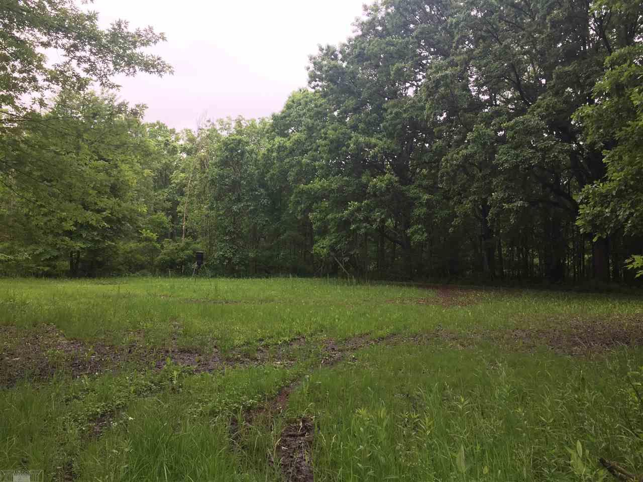 0 Hagen Road Macomb, MI 48042 - Photo 2 of 2