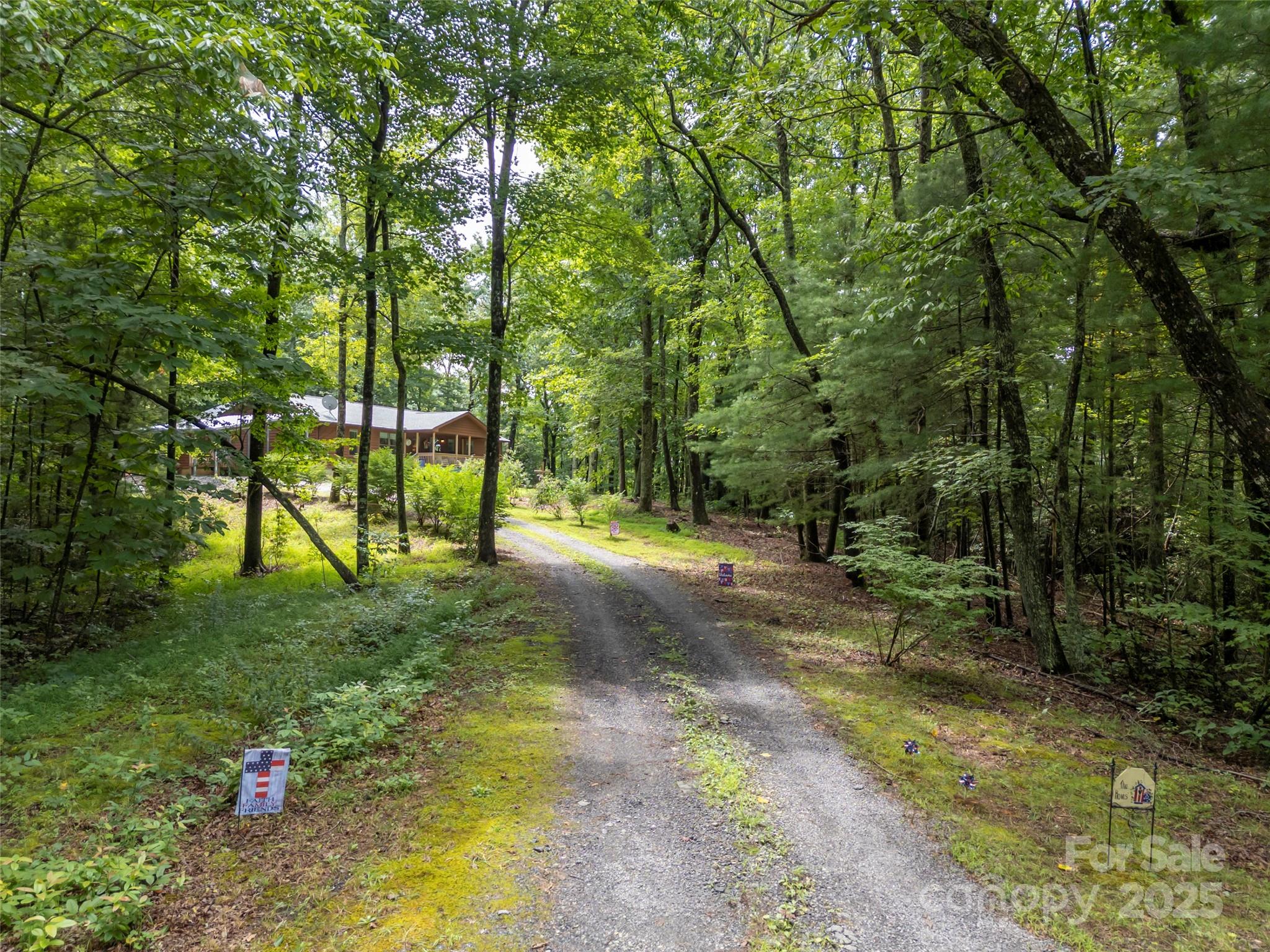 224 Small Falls Lane Saluda, NC 28773 - Photo 2 of 48