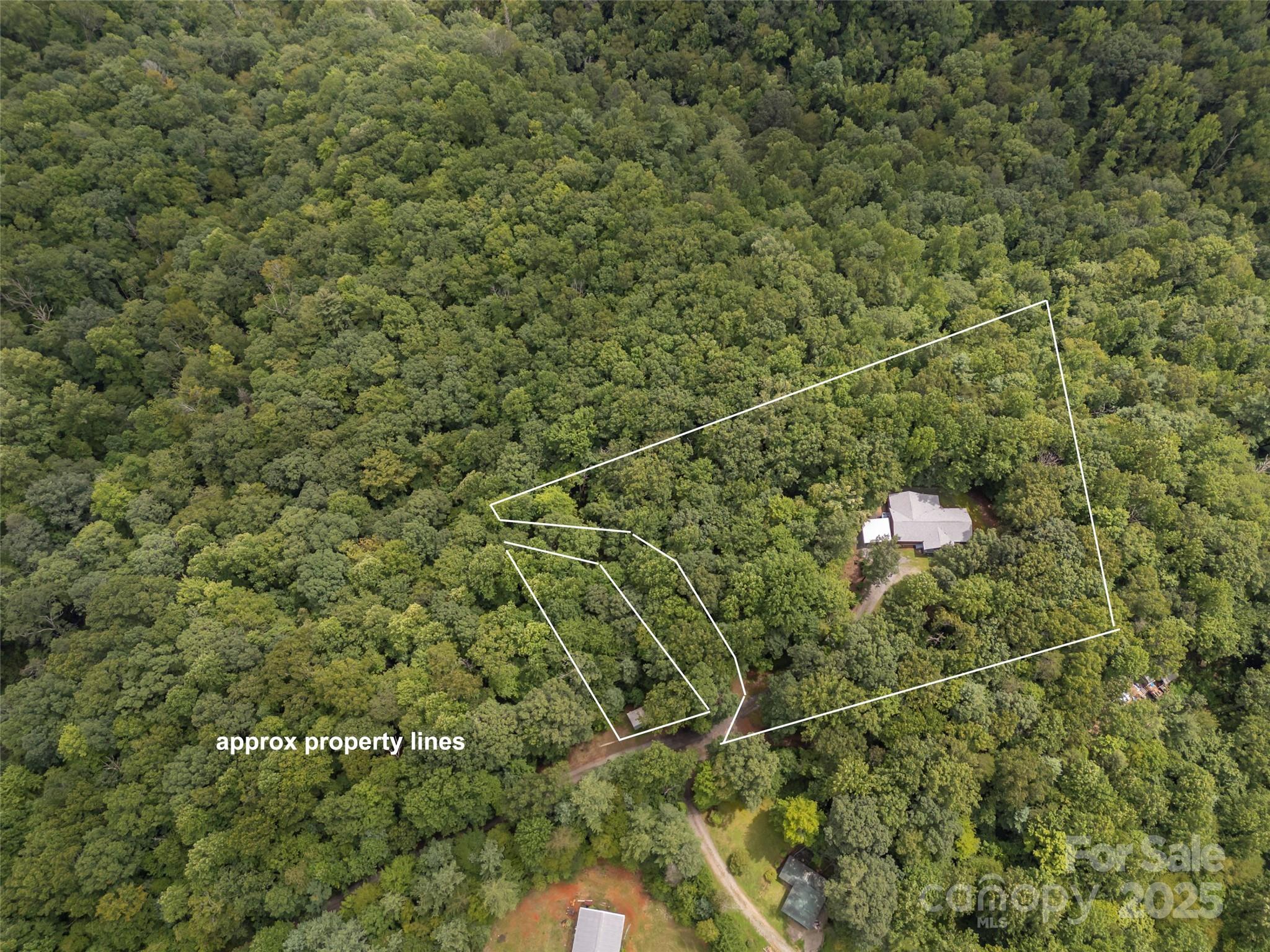 224 Small Falls Lane Saluda, NC 28773 - Photo 46 of 48