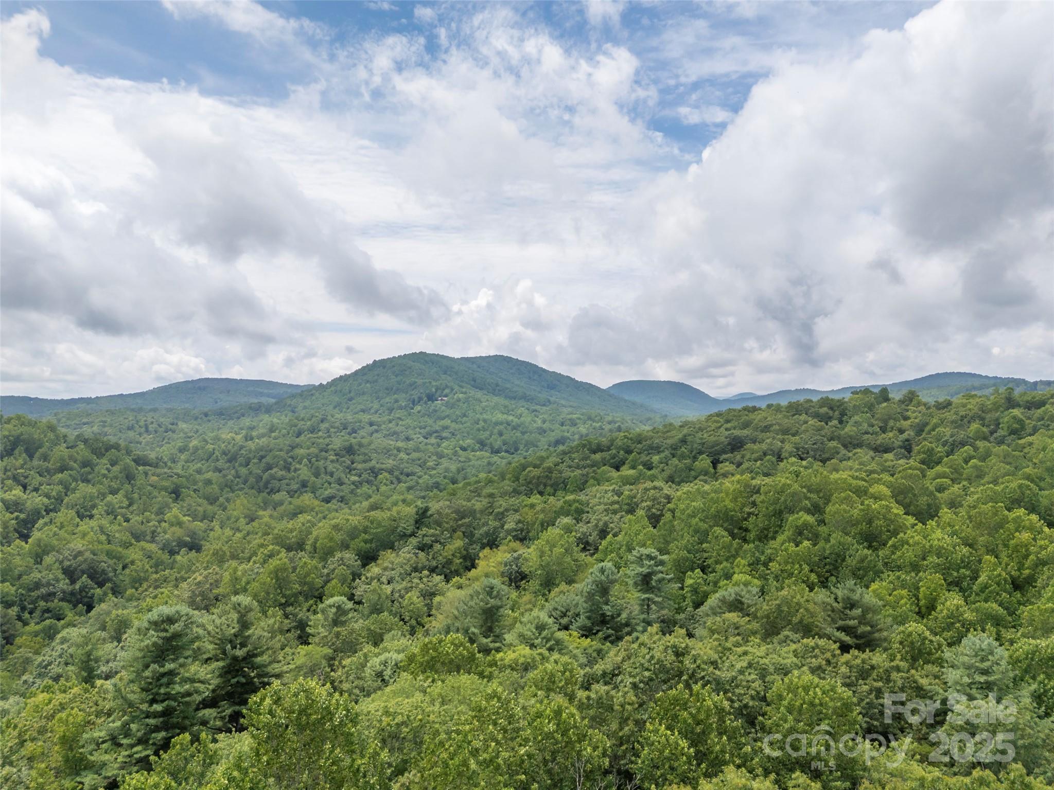 224 Small Falls Lane Saluda, NC 28773 - Photo 47 of 48