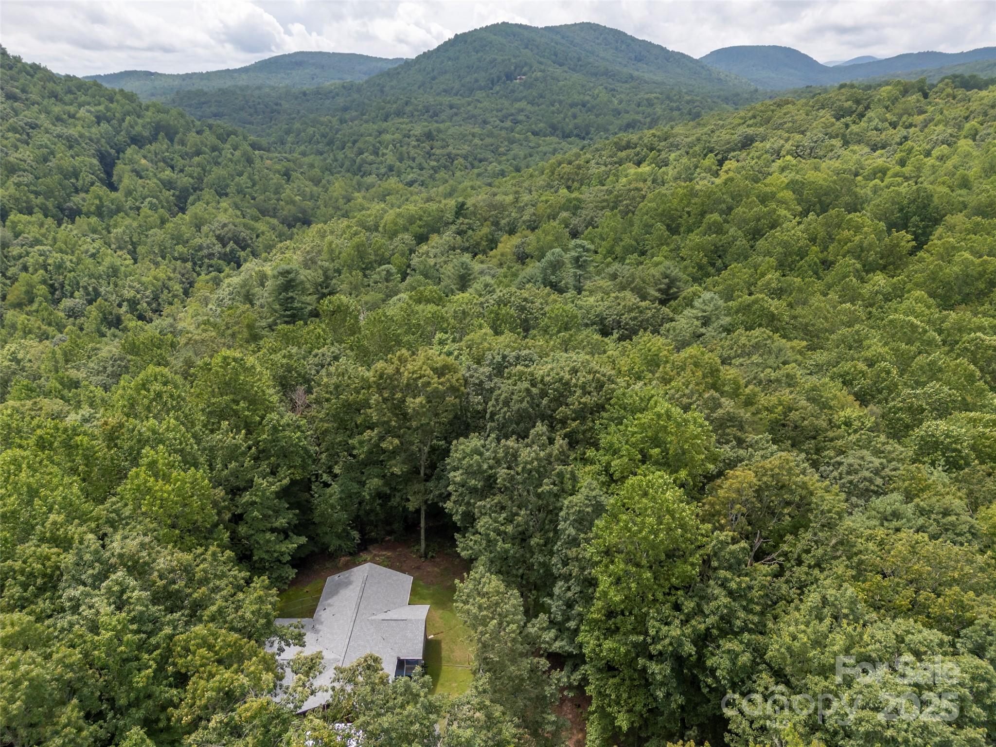 224 Small Falls Lane Saluda, NC 28773 - Photo 48 of 48