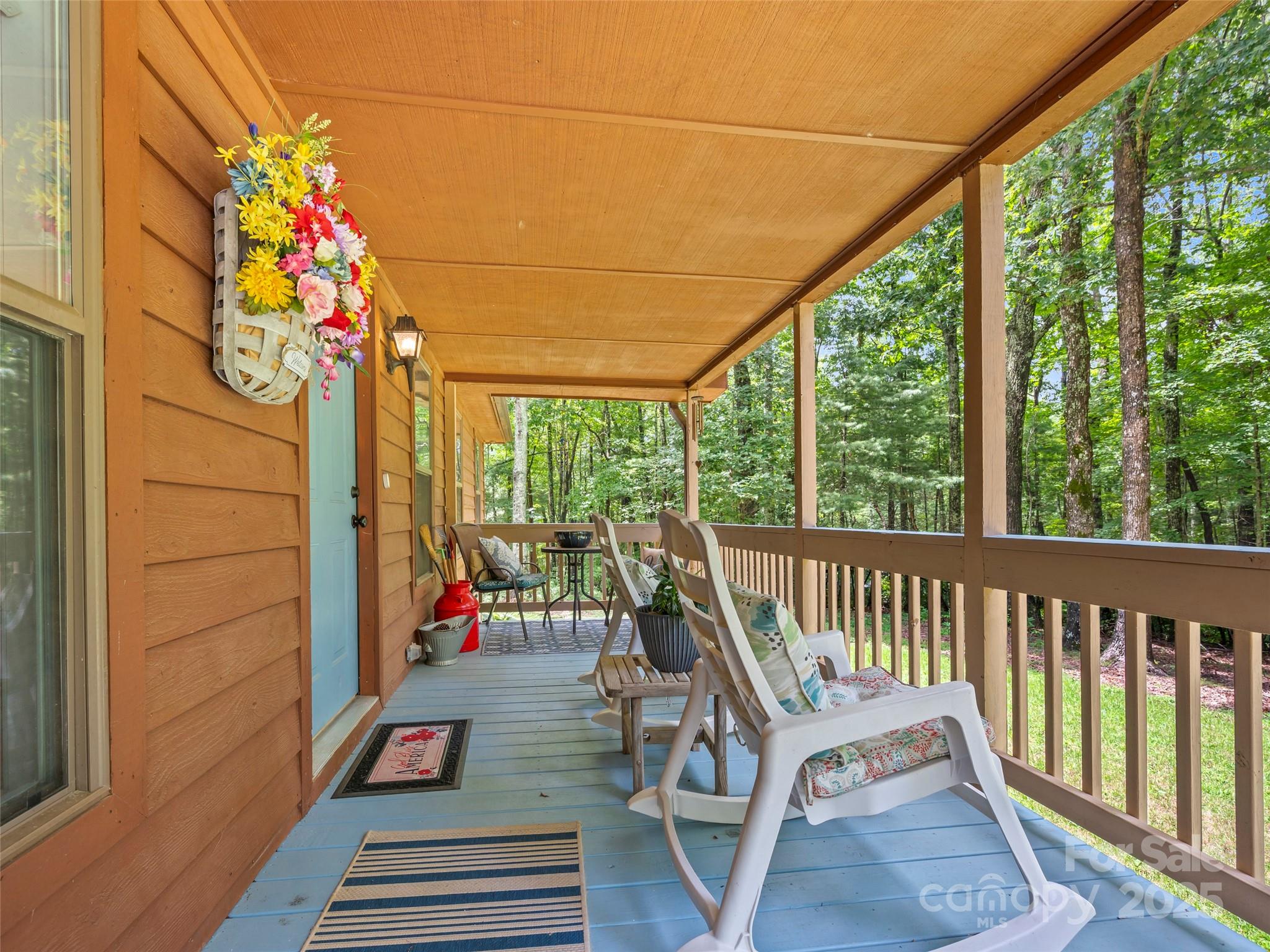 224 Small Falls Lane Saluda, NC 28773 - Photo 9 of 48