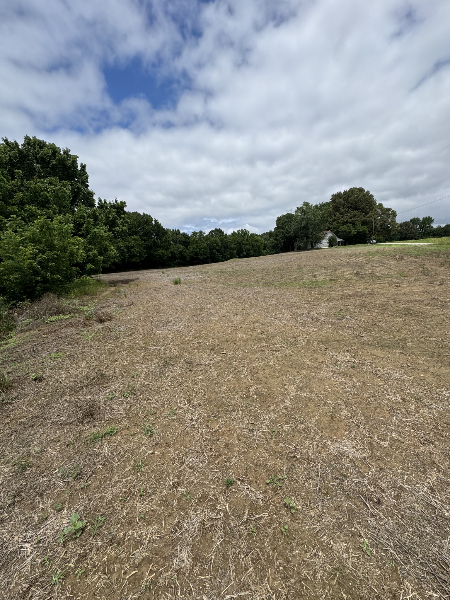 325 Harts Mill Road Atwood, TN 38220 - Photo 27 of 44