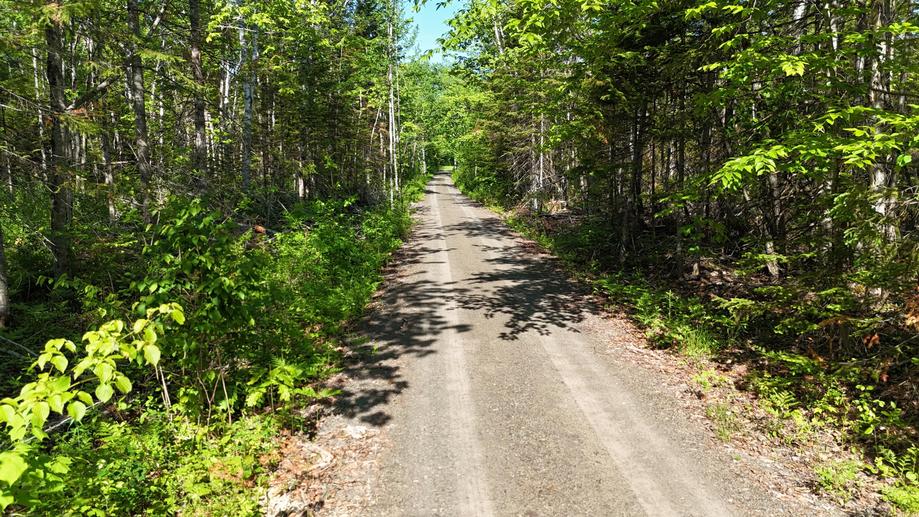 3985 West Chapman Road Chapman, ME 04757 - Photo 33 of 33