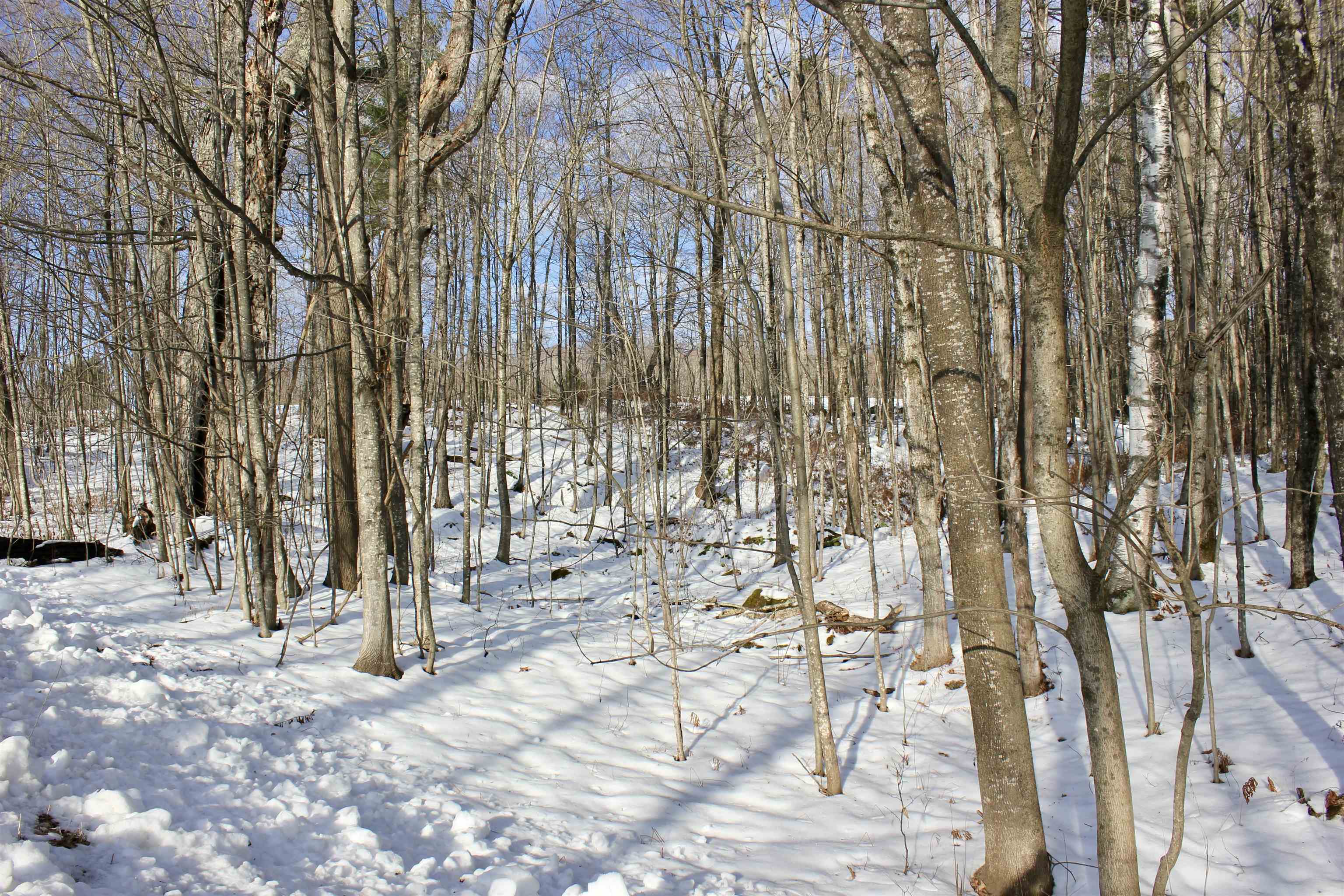 0 Tyson Road Proctorsville, VT 05153 - Photo 8 of 10