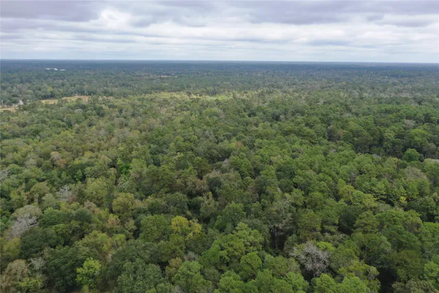 $2,375,000 | 0 Stella Lane, Tomball, TX 77375