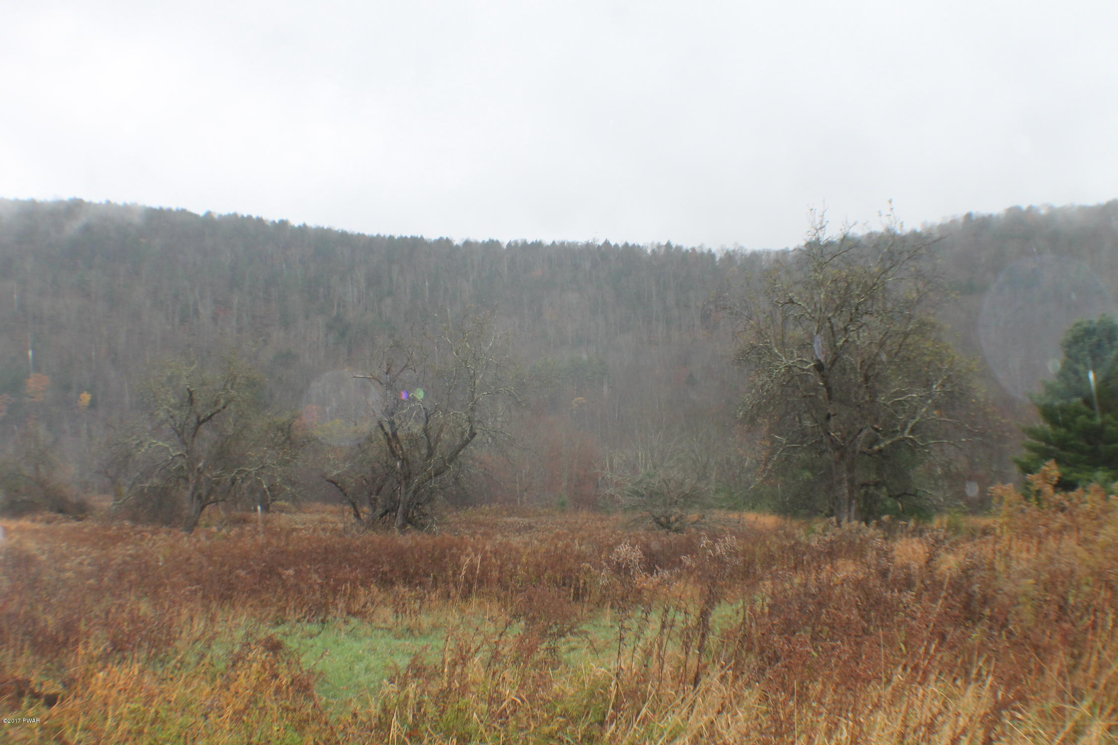 Rd Road East Branch, NY 13756 - Photo 2 of 12