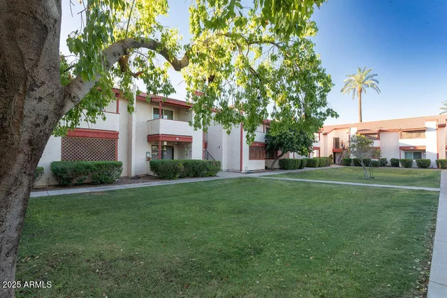 a view of a grassy field with trees in the background