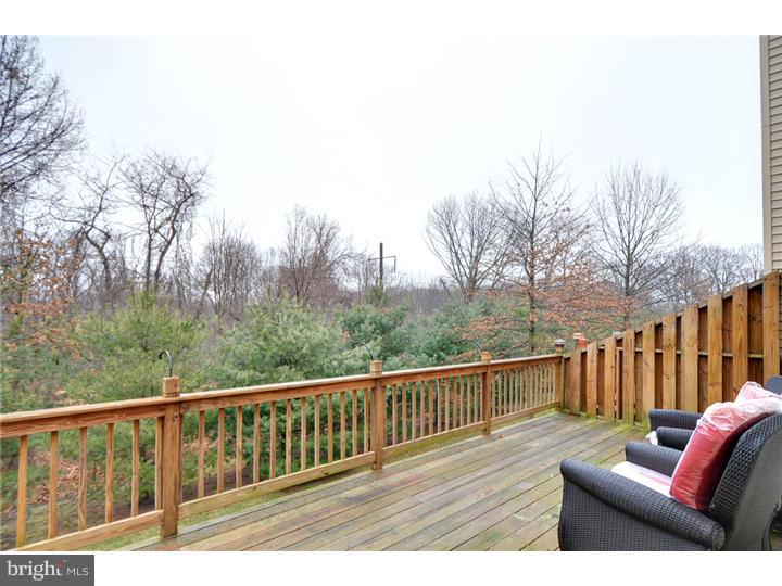 107 Inis Way Malvern, PA 19355 - Photo 11 of 19 View in Back