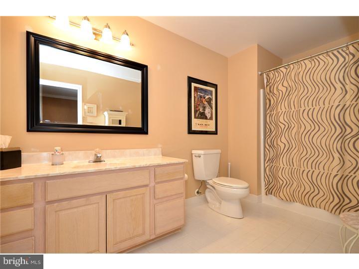 107 Inis Way Malvern, PA 19355 - Photo 15 of 19 Bathroom