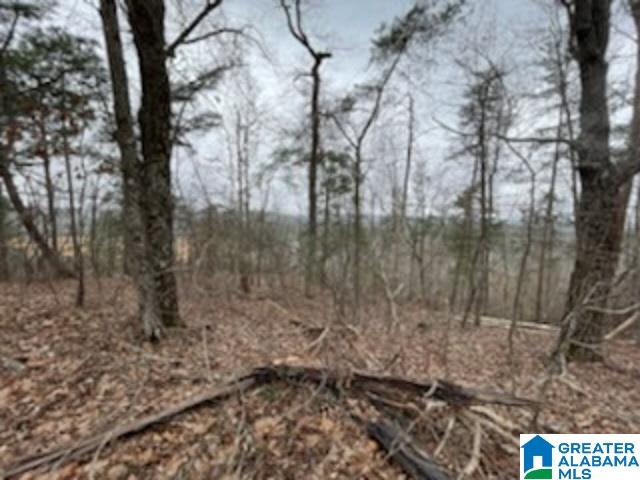 462 Conroy Circle, Unit 710 Sterrett, AL 35147 - Photo 5 of 9