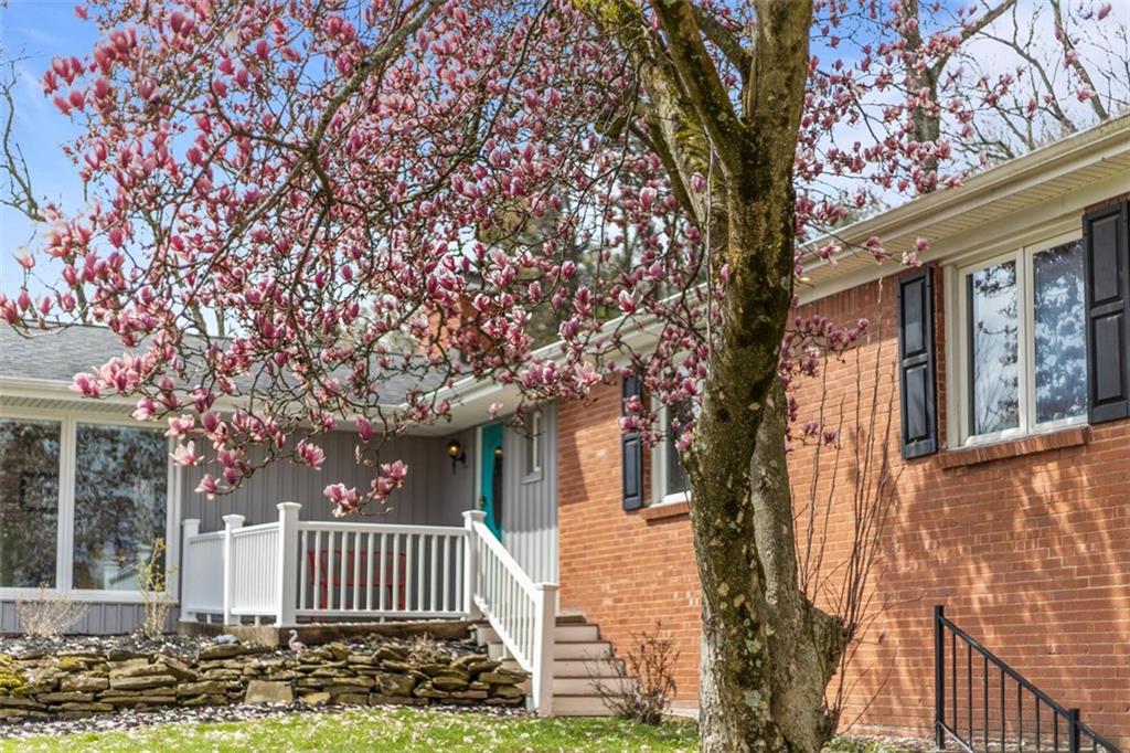 305 Buckingham Road Pittsburgh, PA 15215 - Photo 3 of 35 Gallery Image 3