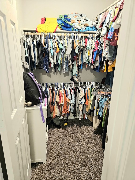 1124 Velvet Court Troy, TX 76579 - Photo 13 of 18 a view of a closet with storage
