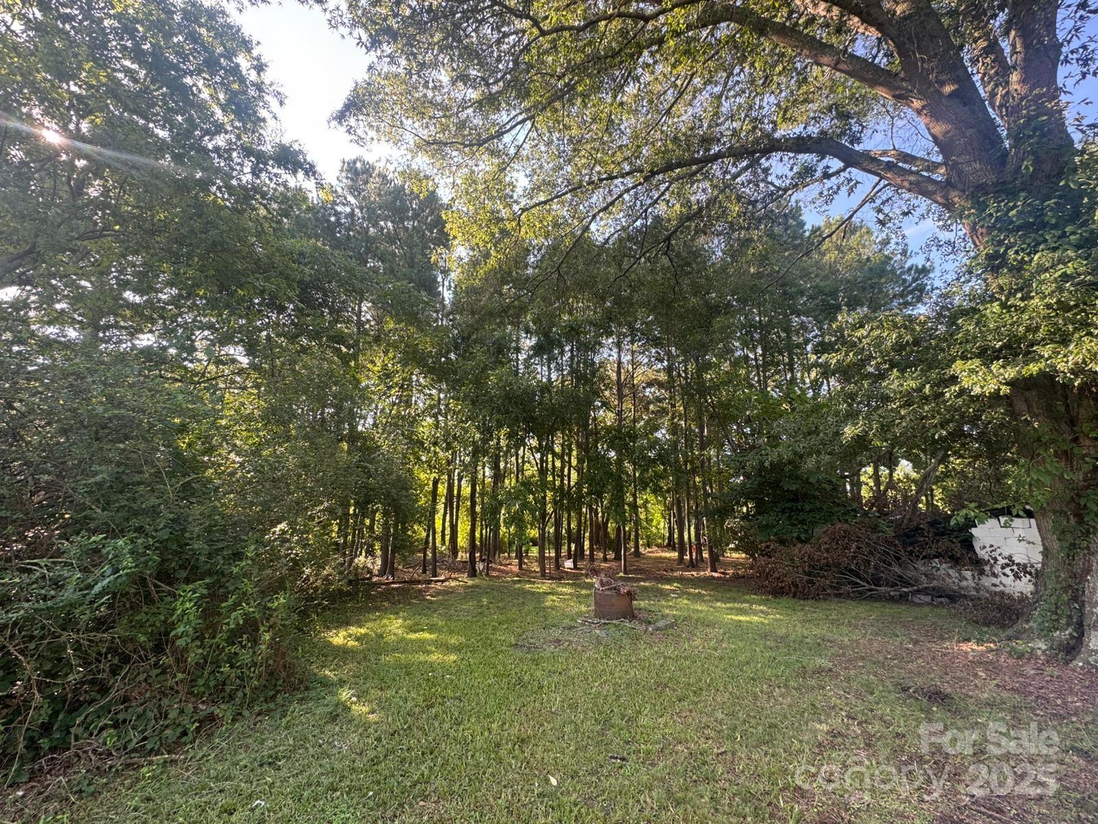 65 Maynard Avenue Ansonville, NC 28170 - Photo 14 of 14 a view of yard with trees