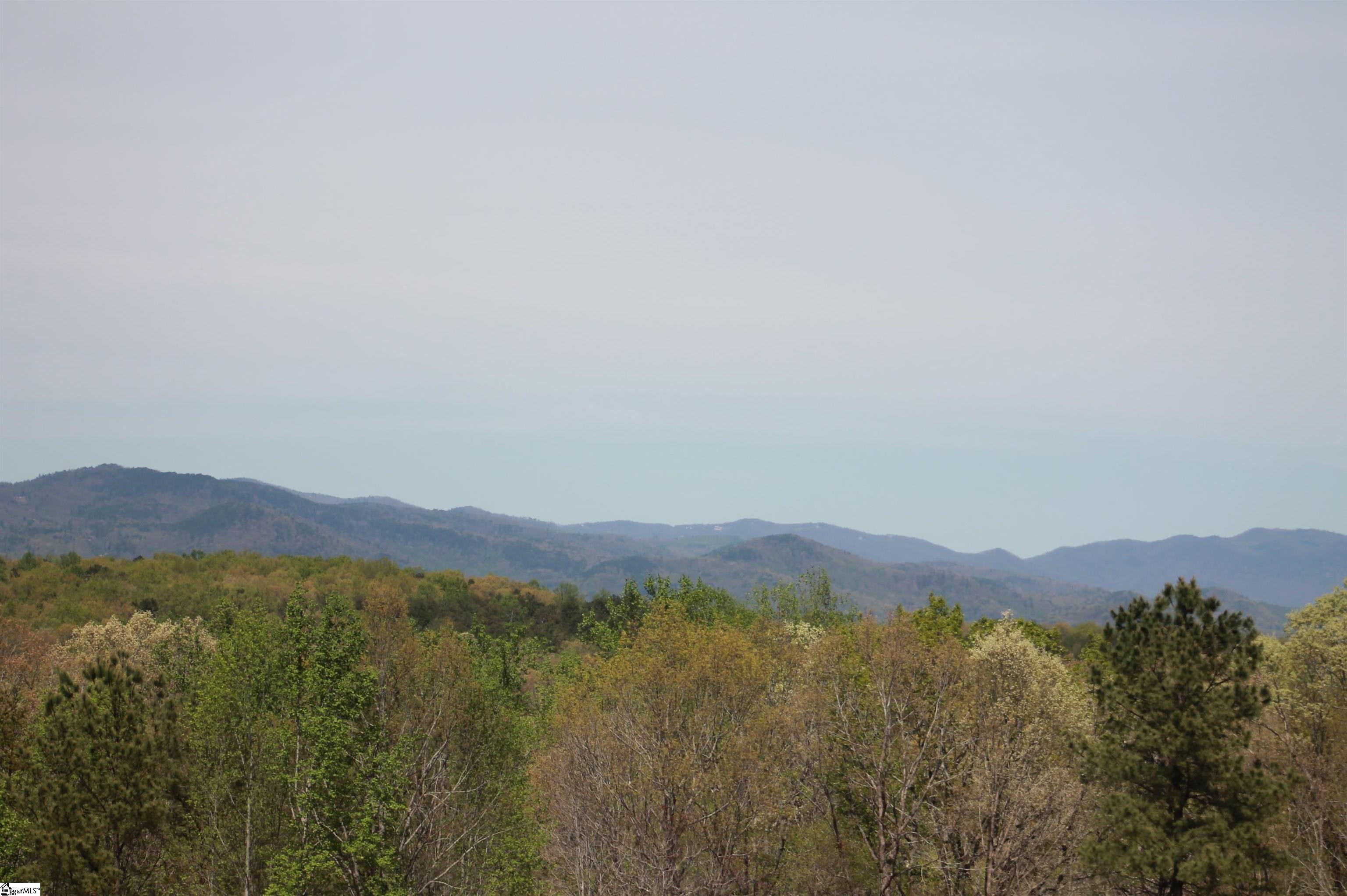 E26 Jocassee Ridge Way Salem, SC 29676 - Photo 3 of 9 Gallery Image 3