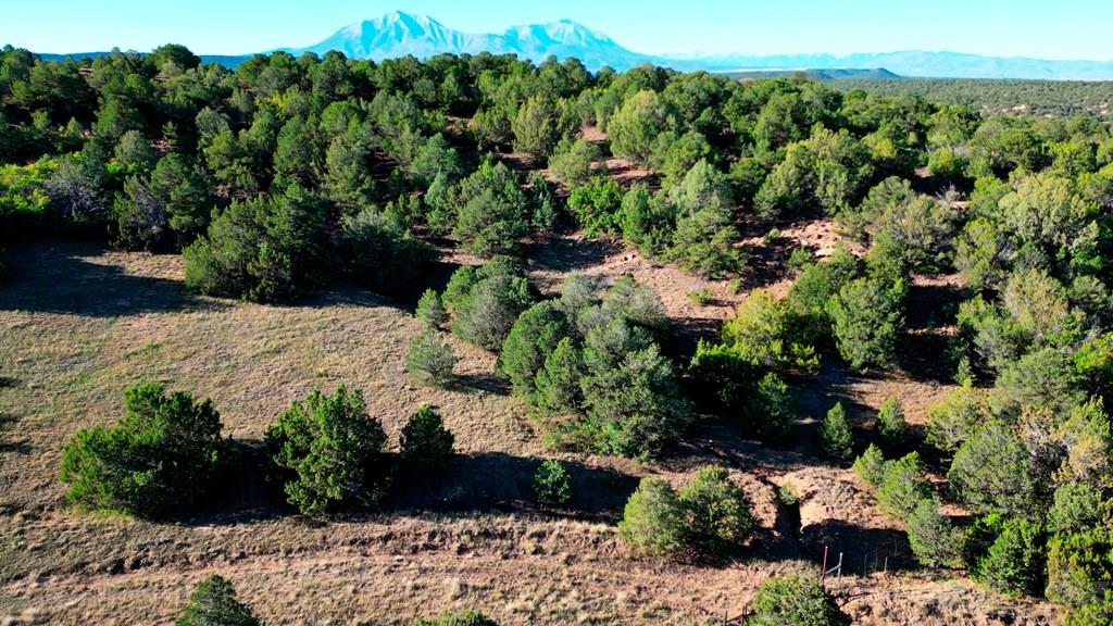 Tbd Bear Creek Road Walsenburg, CO 81089 - Photo 6 of 37