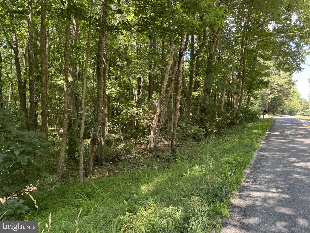 0 Lone Pine Road Crewe, VA 23930 - Photo 21 of 21