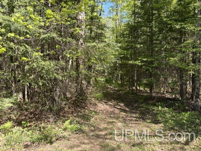 N8640 East End Road Ironwood, MI 49938 - Photo 8 of 10