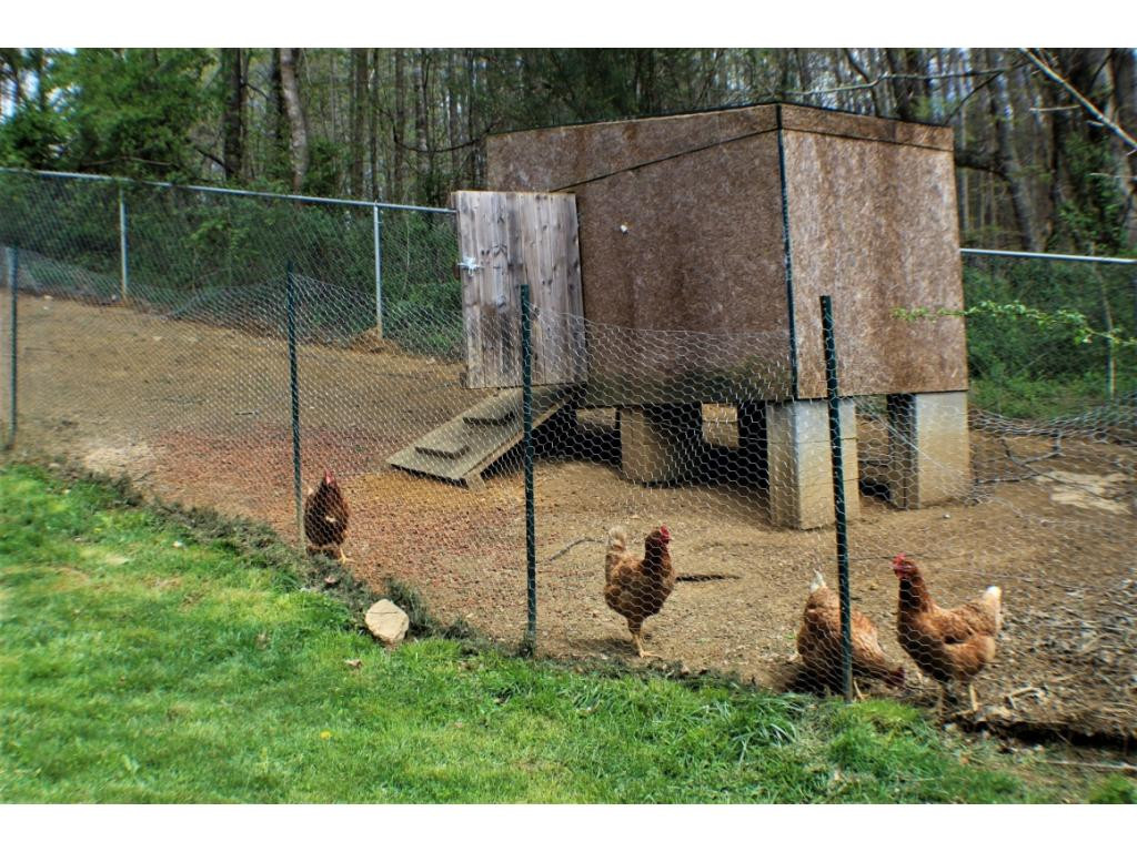 337 Long Hollow Road Elizabethton, TN 37643 - Photo 32 of 36 Photo 32