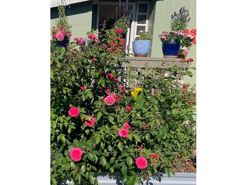 369 Gun Club Road, Unit 16 Woodland, WA 98674 - Photo 40 of 44 a view of a flower