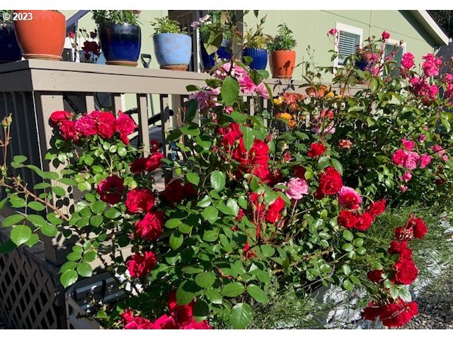 369 Gun Club Road, Unit 16 Woodland, WA 98674 - Photo 41 of 44 a view of outdoor space