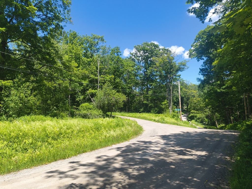 0 Brown Hill Road Worthington, MA 01098 - Photo 5 of 6