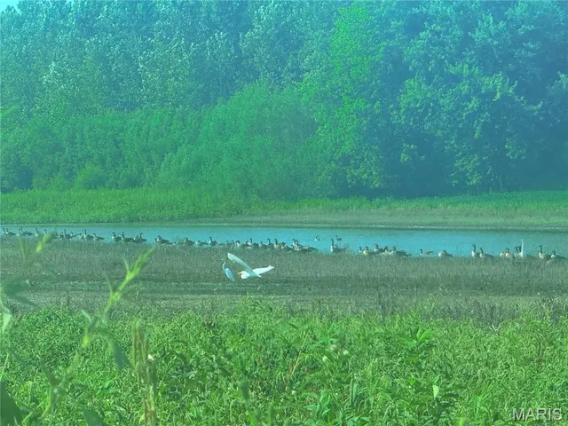 $1 | 209 Pike 209 Clarksville Mo 63336, Clarksville, MO 63336