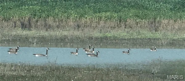 $1,462,500 | 209 Pike 209 Clarksville Mo 63336, Clarksville, MO 63336