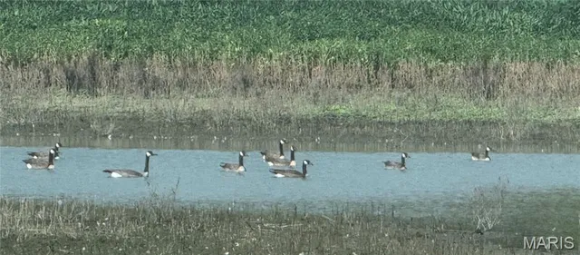 $1 | 209 Pike 209 Clarksville Mo 63336, Clarksville, MO 63336