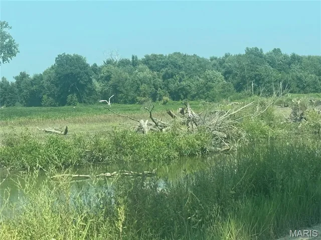 $1 | 209 Pike 209 Clarksville Mo 63336, Clarksville, MO 63336