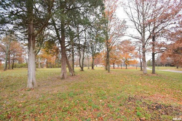 $22,500 | 0 East Cedar Hls Road, Mount Vernon, IL 62864