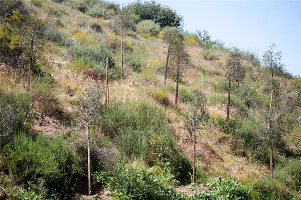 $875,000 | 11251 Spanish Hills Drive, Corona, CA 92883