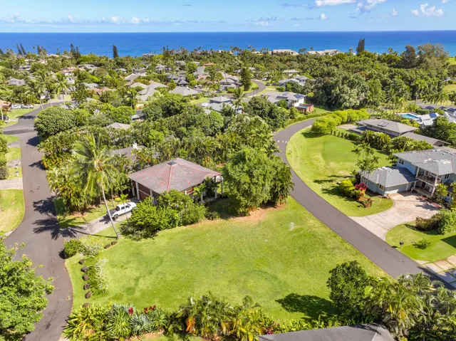 a view of a bunch of trees and houses