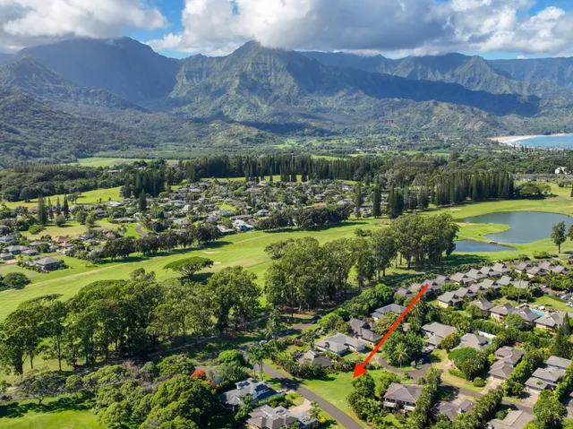 a view of a lush green field