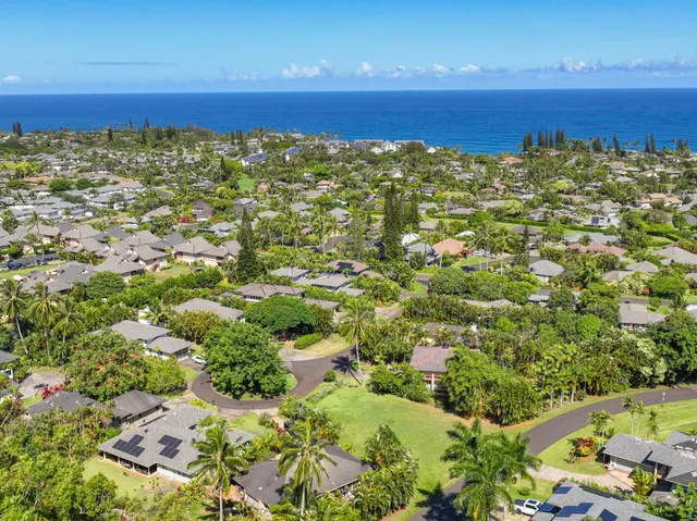 a view of a garden with a tree