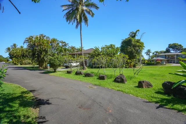 a view of a garden with a tree