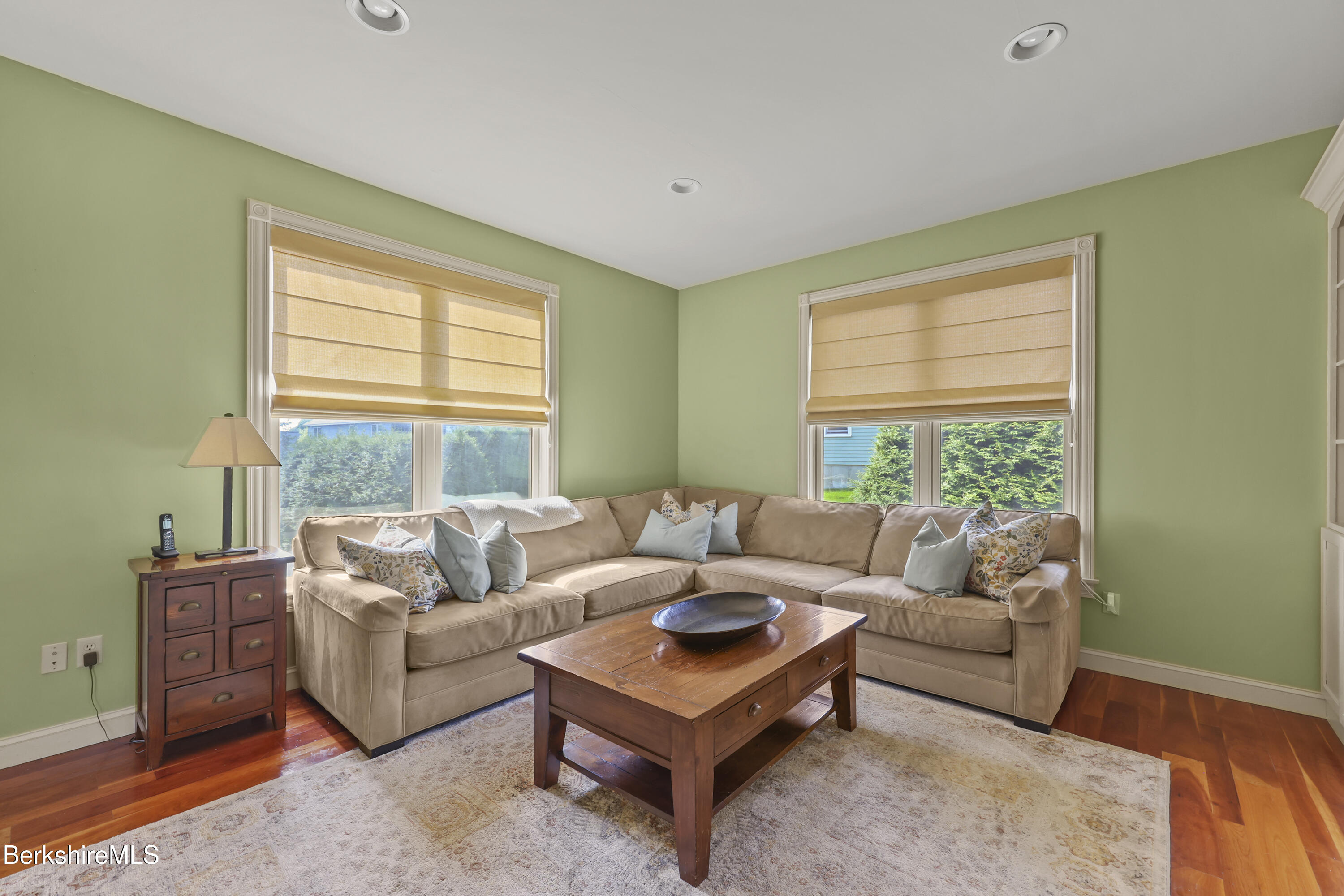 35 Meadow Ridge Drive Pittsfield, MA 01201 - Photo 20 of 81 Family Room
