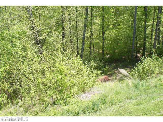 6867 Rangecrest Road Belews Creek, NC 27009 - Photo 15 of 15 Land/Lot.