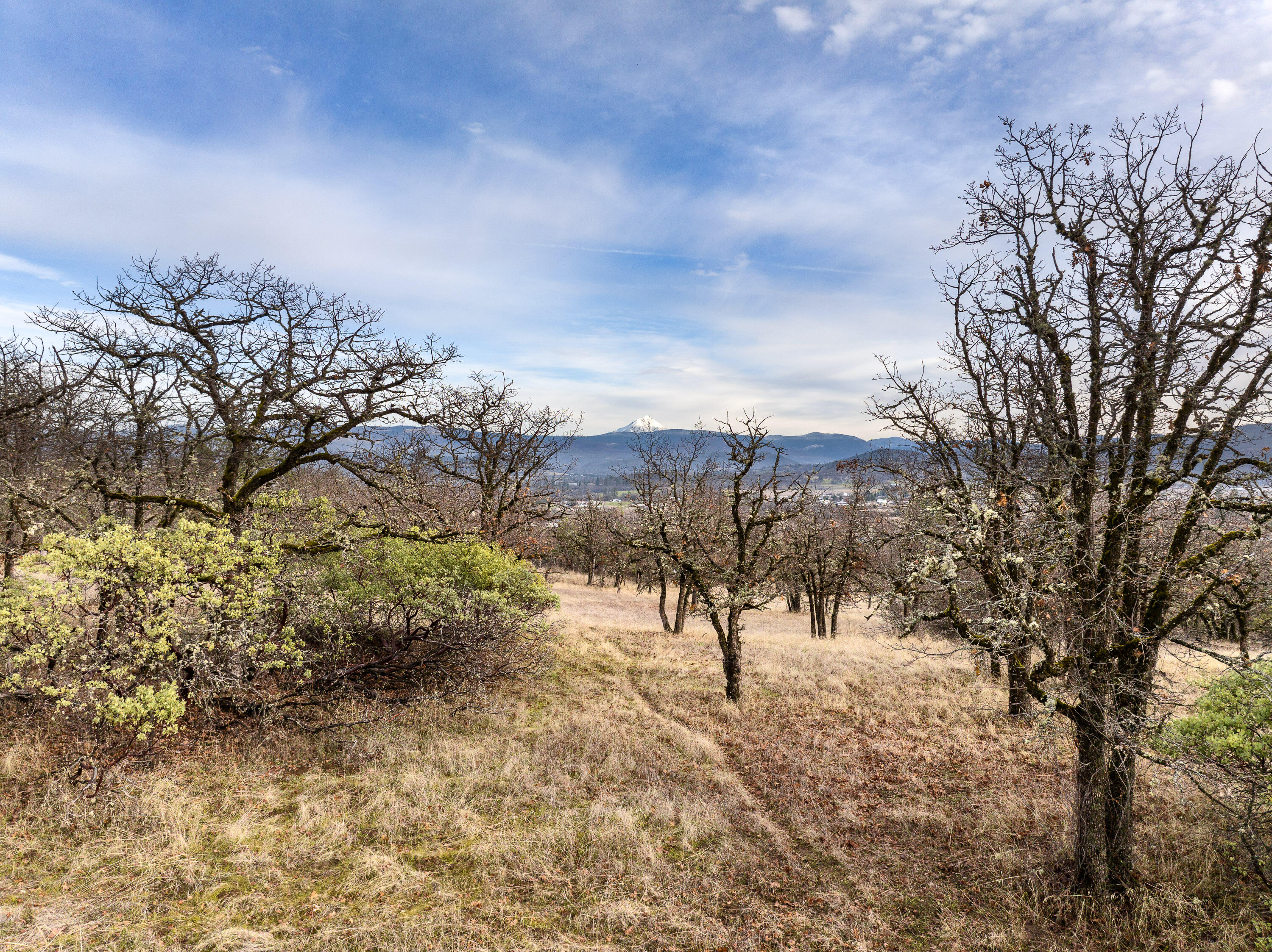 0 Stevens Road Eagle Point, OR 97524 - Photo 24 of 24 EagleHeightsRd-002