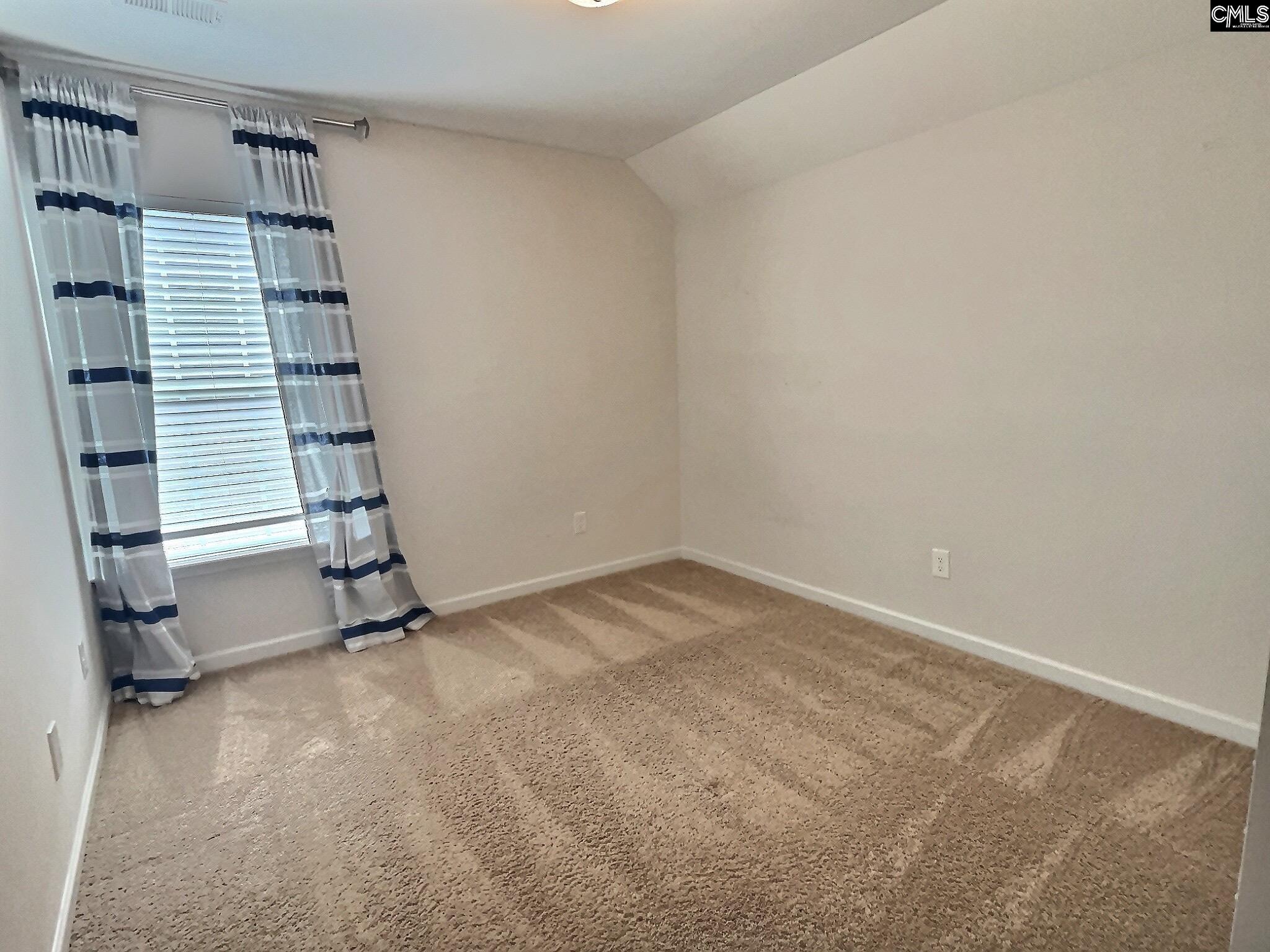 343 Limestone Road Chapin, SC 29036 - Photo 21 of 31