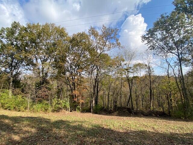 697 Galbraith Road Brooksville, KY 41004 - Photo 4 of 4