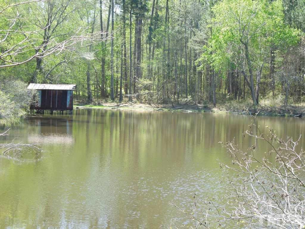 0 Cooke Road Louisburg, NC 27549 - Photo 3 of 16 Gallery Image 3