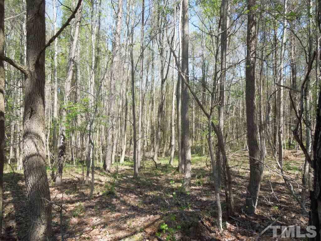 0 Cooke Road Louisburg, NC 27549 - Photo 8 of 16 Gallery Image 8